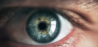 Eye Eye