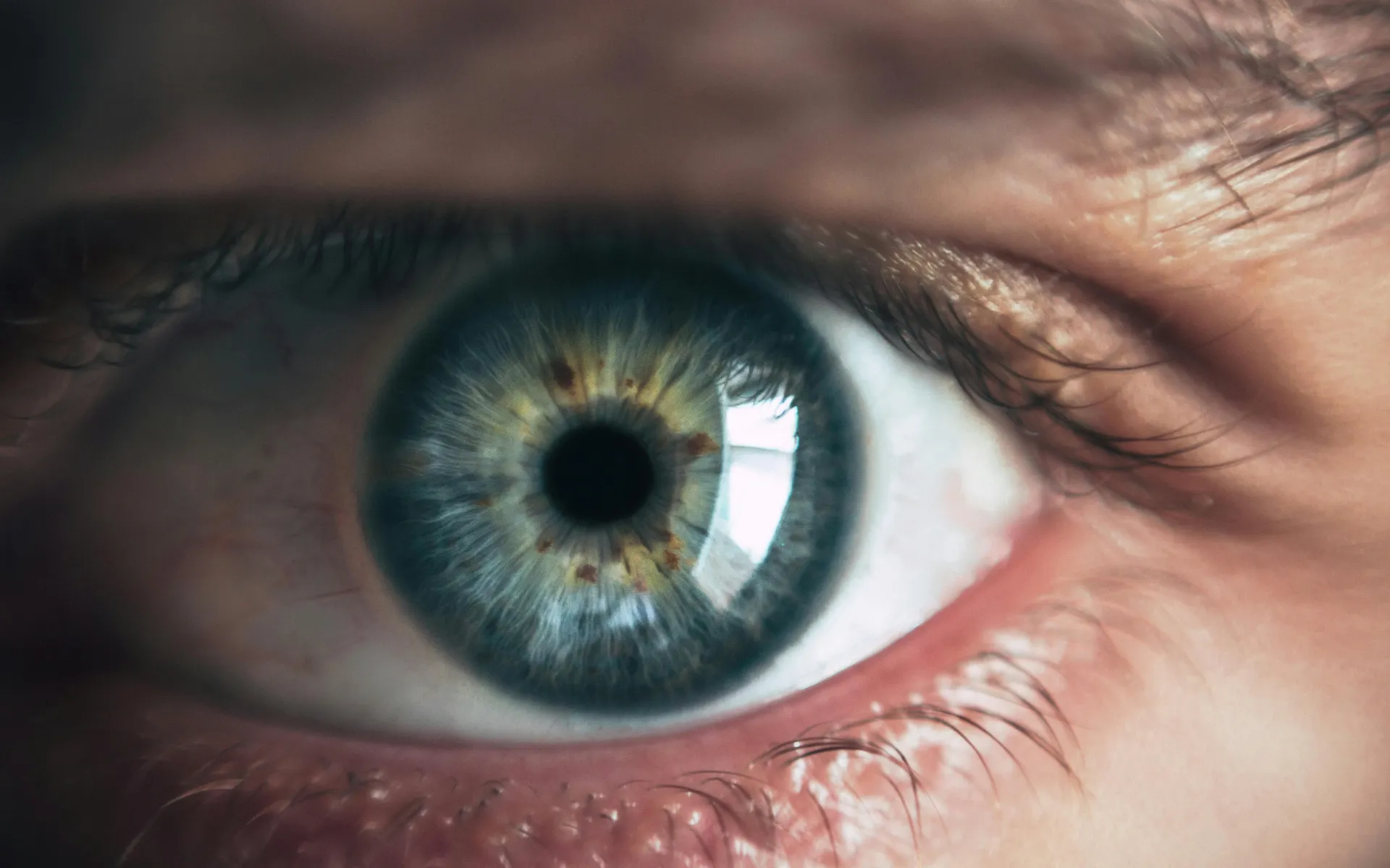 Eye Eye